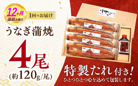 【12回定期便】『北御門』うなぎ蒲焼4尾入り / 特上 うなぎ 鰻 ウナギ 蒲焼 蒲焼き かばやき うな重 ひつまぶし 冷凍 / 諫早市 / 諫早観光物産コンベンション協会[AHAB054]