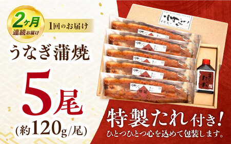 【2回定期便】『北御門』うなぎ蒲焼5尾入り / 特上 うなぎ 鰻 ウナギ 蒲焼 蒲焼き かばやき うな重 ひつまぶし 冷凍 / 諫早市 / 諫早観光物産コンベンション協会[AHAB055]