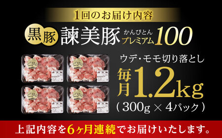 【6回定期便】＜特Aのブランド米で育てた＞黒豚諫美豚プレミアム100 切り落とし(ウデ・モモ) 1.2kg(300g×4P) / 黒豚 豚肉 小分け 肉 豚 ウデ肉 ウデ モモ もも肉 / 諫早市 / 株式会社土井農場[AHAD109]