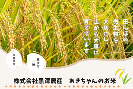 《令和7年産》【玄米】栗原市産 にじのきらめき 30kg （30kg×1袋） 精米 ブランド米 黒澤農産 宮城県 栗原市