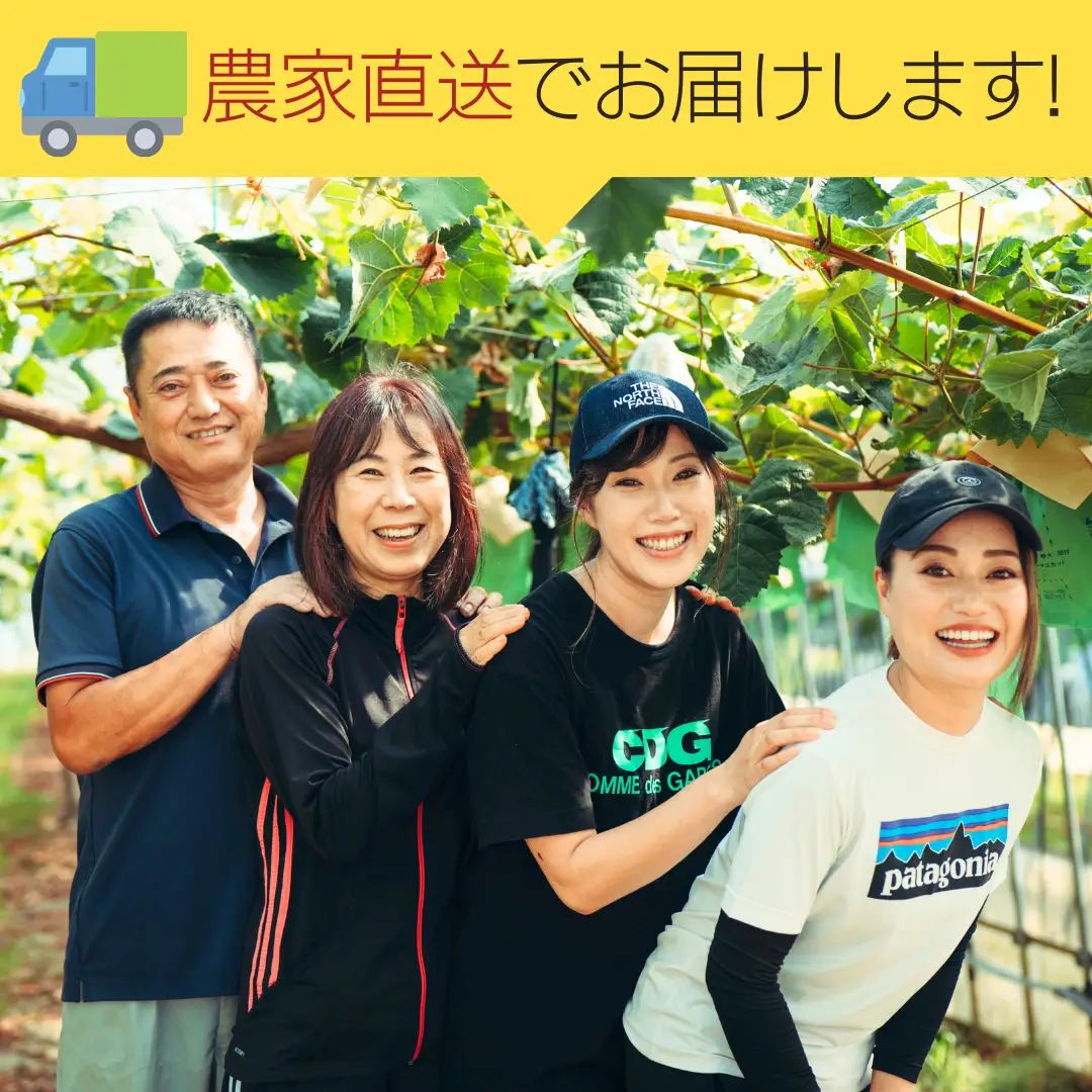 8月下旬発送 八千代町産 シャインマスカット 約1kg ブドウ 先行受付