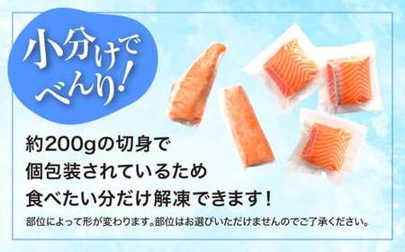 スパリゾートハワイアンズ　施設利用券3,000円分＋アイスバーグサーモン（アトランティックサーモン）　約1kg（約200g×5袋） | 利用チケット 入場券 ホテルハワイアンズ モノリスタワー ウイルポート フラダンス プール スパ 福島県 いわき市 マウナヴィレッジ ゴルフコース アイスバーグサーモン アトランティックサーモン 冷凍 サーモン 切り身 | ZZ022