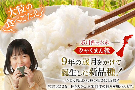 米 無洗米 令和7年産 石川県産 ひゃくまん穀 5kg [中橋商事株式会社 石川県 宝達志水町 38601326]