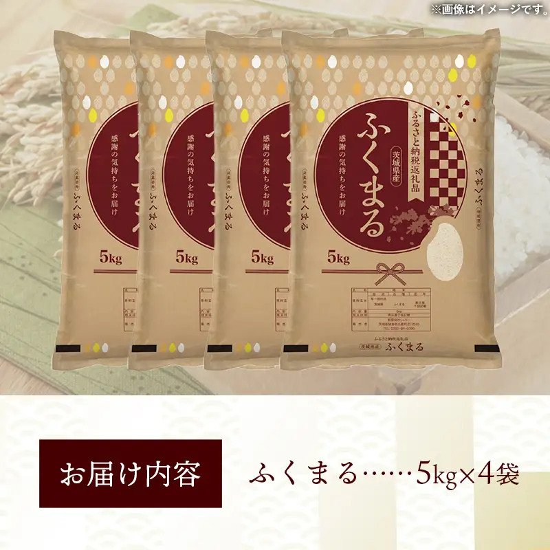 令和7年産 お米 精米 ふくまる 20kg 茨城県産 特A米 特A評価【価格改定X】