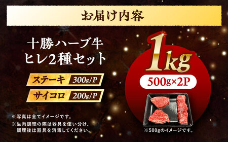 北海道 十勝 ハーブ牛 ヒレステーキ セット 1kg （ミニステーキ300ｇ+コロコロステ ーキ200ｇ）×2 《足寄町》【株式会社ノベルズ食品】[BEAQ060]