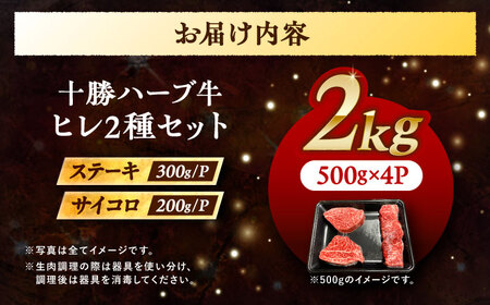 北海道 十勝 ハーブ牛 ヒレステーキ セット 2kg  （ミニステーキ300ｇ+コロコロステ ーキ200ｇ）×4 《足寄町》【株式会社ノベルズ食品】[BEAQ062]