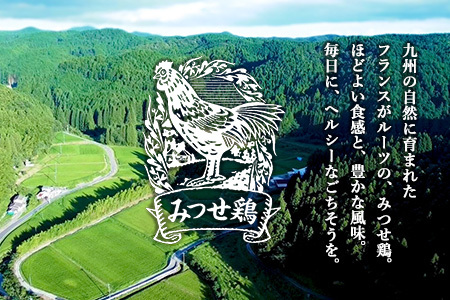 佐賀県産みつせ鶏 ささみ 200g×8袋 K059052
