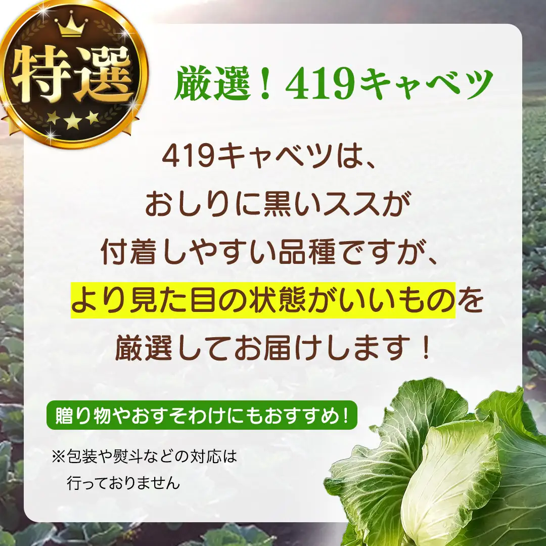 【ふるなびWEEK対象】＜レビューキャンペーン開催中＞＜7月中旬発送開始＞ 【 特選 】 まぼろしの419キャベツ 4玉 [AL021tu]