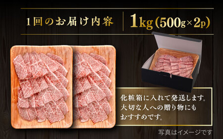 【全3回定期便】【A4/A5等級】博多和牛 カルビ 焼肉用 1kg 糸島市 / ヒサダヤフーズ 黒毛和牛 牛肉 焼き肉 雌牛[AIA105]