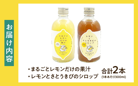 果汁100％「まるごとレモンだけの果汁」と「レモンとさとうきびのシロップ」セット 合計2本 無添加 保存料不使用_BC135-25