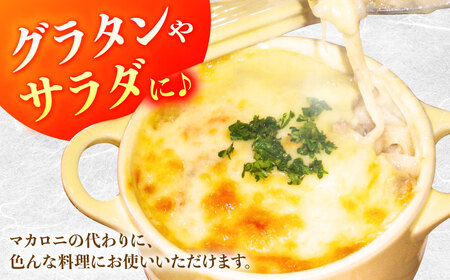 島原手延そうめん ふしめん 2kg [SAQ015] そうめん