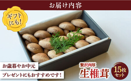 生椎茸 秀品15枚 SBX001 椎茸