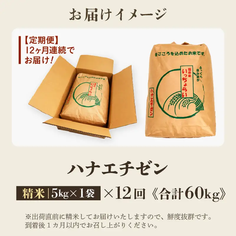 【先行予約】【令和8年産・新米】【一等米】 ＜定期便12回＞ ハナエチゼン 精米 5kg × 12回（60kg）《発送直前精米！》 ／ 福井県産 ブランド米 ご飯 白米 お米 コメ 新鮮 大賞 受賞 新米 ※2026年9月上旬以降順次発送予定 [aw012-k010]