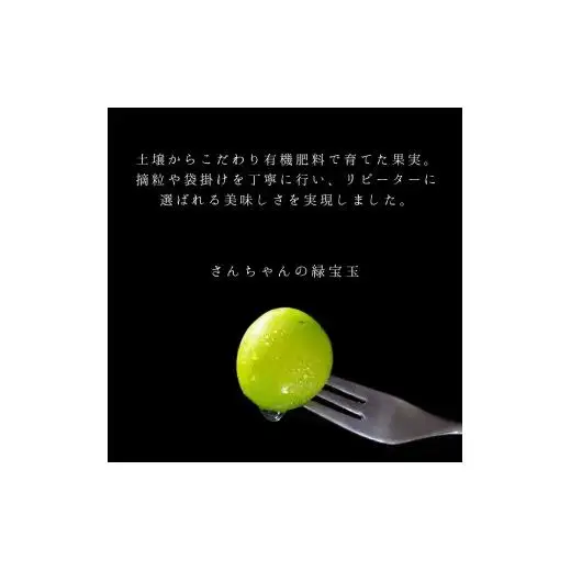 【2026年収穫分先行予約】【訳あり】 産地直送シャインマスカット(約1.5kg）