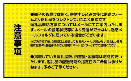 あとからゆっくり返礼品を選べる♪ 10000円 ポッキリふるさと納税 カタログ