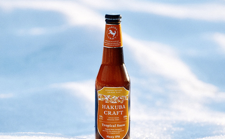 HAKUBA CRAFT 定番 6 本+コースター2 枚セット