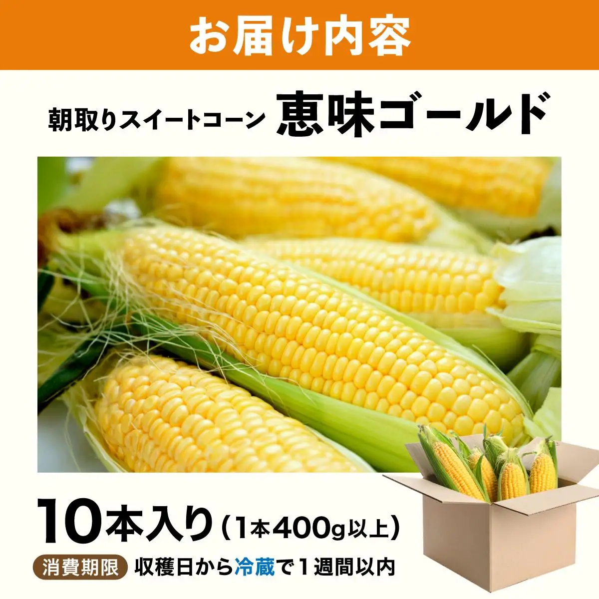 【先行予約】朝取りスイートコーン「恵味ゴールド」10本入り｜コーン とうもろこし 岩見沢市 野菜 北海道【a167-001】