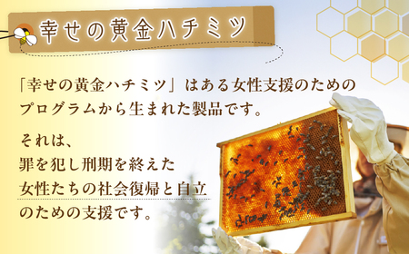 はちみつ 幸せの黄金ハチミツ 200g×3個 箱入り はちみつ