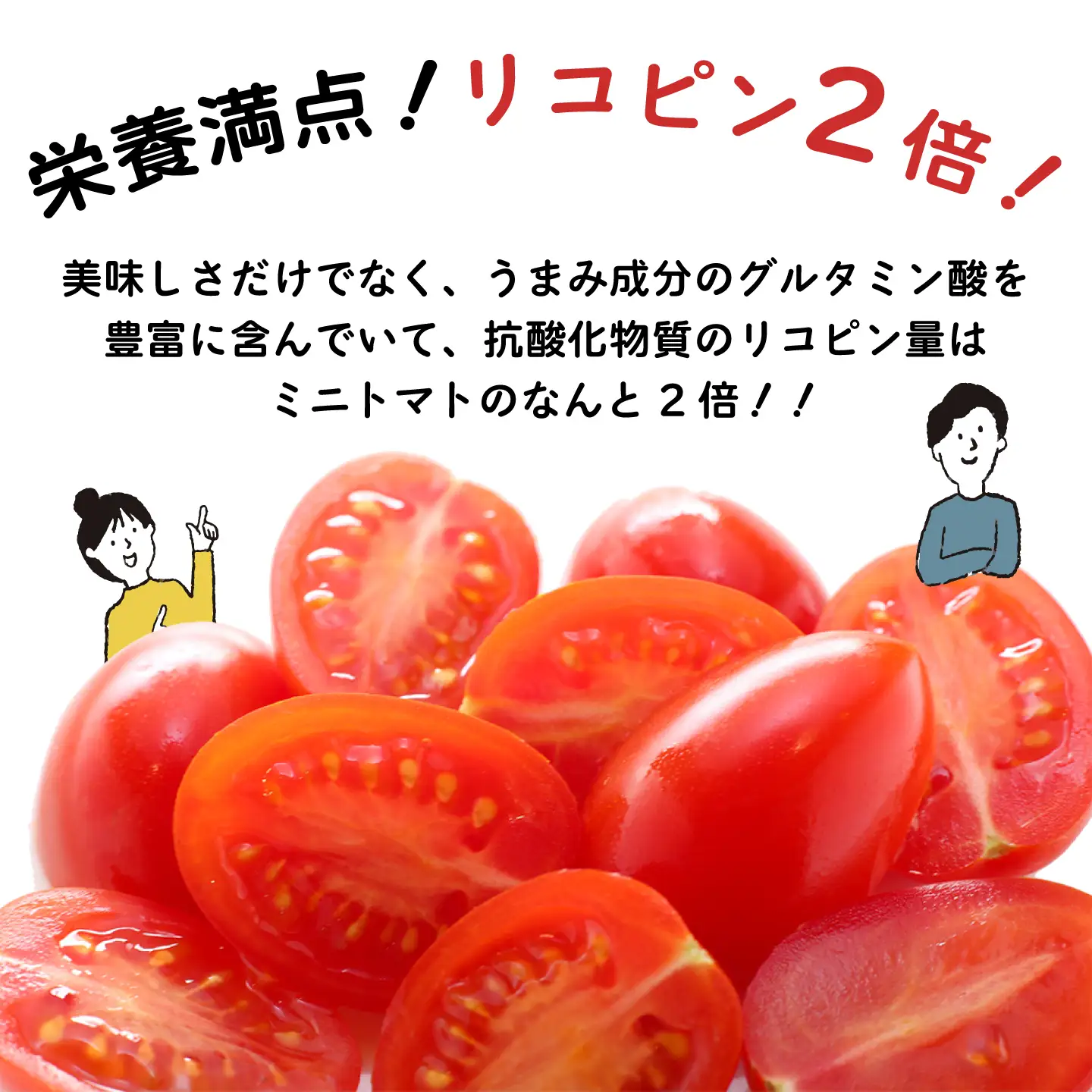【完熟ミニトマト】アイコトマト 約1kg [SCB039] トマト