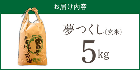 【2026年10月より順次発送】福岡県産ブランド米夢つくし 玄米 5kg【令和8年産 新米】 _ 夢つくし 5kg 1回 福岡県産 久留米産 ブランド米 品種 艷やか 光沢 やわらかい 食感 米 ご飯 おにぎり 弁当 食品 お取り寄せ 福岡県 久留米市 送料無料  〔Gr082〕