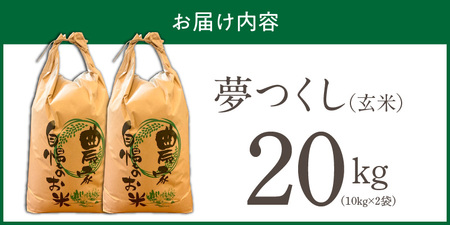 【2026年10月より順次発送】福岡県産ブランド米夢つくし 玄米 20kg【令和8年産 新米】 _ 夢つくし 20kg 1回 福岡県産 久留米産 ブランド米 品種 艷やか 光沢 やわらかい 食感 米 ご飯 おにぎり 弁当 食品 お取り寄せ 福岡県 久留米市 送料無料  〔Gr084〕