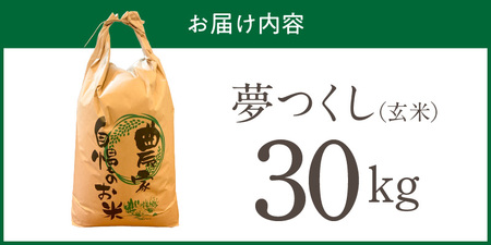 【2026年10月より順次発送】福岡県産ブランド米夢つくし 玄米 30kg【令和8年産 新米】 _ 夢つくし 30kg 1回 福岡県産 久留米産 ブランド米 品種 艷やか 光沢 やわらかい 食感 米 ご飯 おにぎり 弁当 食品 お取り寄せ 福岡県 久留米市 送料無料  〔Gr085〕
