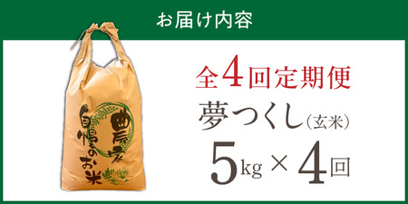 【定期便4回】【令和8年産 新米】福岡県産ブランド米夢つくし 玄米 5kg×4回 _  夢つくし 5kg 4回 定期便 福岡県産 久留米産 ブランド米 品種 艷やか 光沢 やわらかい 食感 米 ご飯 おにぎり 弁当 食品 お取り寄せ 福岡県 久留米市 送料無料  〔Tk107-04〕