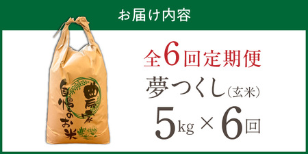 【定期便6回】【令和8年産 新米】福岡県産ブランド米夢つくし 玄米 5kg×6回 _  夢つくし 5kg 6回 定期便 福岡県産 久留米産 ブランド米 品種 艷やか 光沢 やわらかい 食感 米 ご飯 おにぎり 弁当 食品 お取り寄せ 福岡県 久留米市 送料無料  〔Tk107-06〕