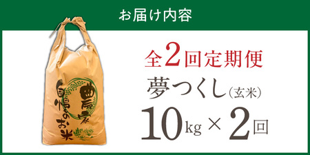 【定期便2回】【令和8年産 新米】福岡県産ブランド米夢つくし 玄米 10kg×2回 _  夢つくし 10kg 2回 定期便 福岡県産 久留米産 ブランド米 品種 艷やか 光沢 やわらかい 食感 米 ご飯 おにぎり 弁当 食品 お取り寄せ 福岡県 久留米市 送料無料  〔Tk108-02〕