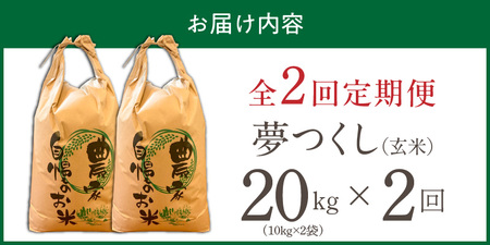 【定期便2回】【令和8年産 新米】福岡県産ブランド米夢つくし 玄米 20kg×2回 _  夢つくし 20kg 2回 定期便 福岡県産 久留米産 ブランド米 品種 艷やか 光沢 やわらかい 食感 米 ご飯 おにぎり 弁当 食品 お取り寄せ 福岡県 久留米市 送料無料  〔Tk109-02〕
