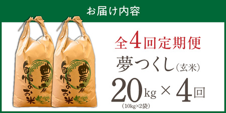 【定期便4回】【令和8年産 新米】福岡県産ブランド米夢つくし 玄米 20kg×4回 _  夢つくし 20kg 4回 定期便 福岡県産 久留米産 ブランド米 品種 艷やか 光沢 やわらかい 食感 米 ご飯 おにぎり 弁当 食品 お取り寄せ 福岡県 久留米市 送料無料  〔Tk109-04〕