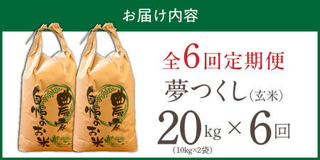 【定期便6回】【令和8年産 新米】福岡県産ブランド米夢つくし 玄米 20kg×6回 _  夢つくし 20kg 6回 定期便 福岡県産 久留米産 ブランド米 品種 艷やか 光沢 やわらかい 食感 米 ご飯 おにぎり 弁当 食品 お取り寄せ 福岡県 久留米市 送料無料  〔Tk109-06〕