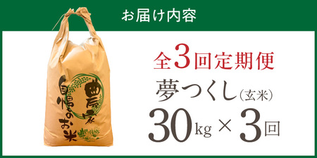 【定期便3回】【令和8年産 新米】福岡県産ブランド米夢つくし 玄米 30kg×3回 _  夢つくし 30kg 3回 定期便 福岡県産 久留米産 ブランド米 品種 艷やか 光沢 やわらかい 食感 米 ご飯 おにぎり 弁当 食品 お取り寄せ 福岡県 久留米市 送料無料  〔Tk110-03〕