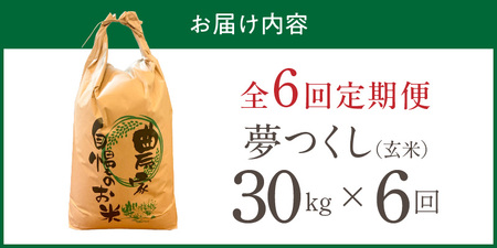 【定期便6回】【令和8年産 新米】福岡県産ブランド米夢つくし 玄米 30kg×6回 _  夢つくし 30kg 6回 定期便 福岡県産 久留米産 ブランド米 品種 艷やか 光沢 やわらかい 食感 米 ご飯 おにぎり 弁当 食品 お取り寄せ 福岡県 久留米市 送料無料  〔Tk110-06〕