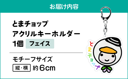 アクリルキーホルダー （ フェイス ） T042-018-02 雑貨