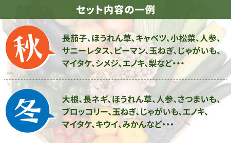 【6回定期便】【奇数月コース】野菜定期便 15品目以上 野菜 定期便[SCZ002]