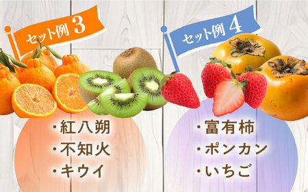 【4回定期便】旬フルーツ定期便 旬の果物をお任せで3品目お届け フルーツ定期便 [SCZ020]