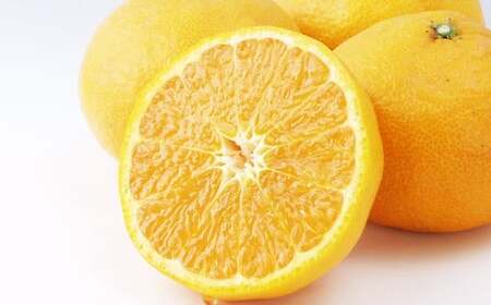 【希望の島】 完熟春みかん （カラマンダリン） 特選品 中玉 2kg 愛媛県 松山市 中島産 みかん ミカン 柑橘 贈答用 果物 くだもの フルーツ デザート 国産 常温 【2026年5月上旬～5月下旬迄順次発送予定】（1023）