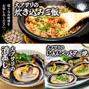 【訳あり】 大アサリ 2kg 愛知県 南知多町
