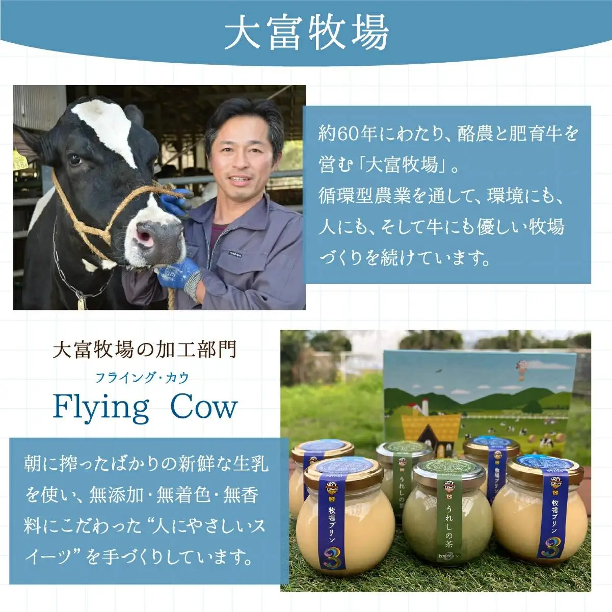 大富牧場の無添加ヨーグルト グリークヨーグルト450g×2