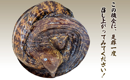 ウツボの味噌漬け・唐揚げ用の切身セット ウツボ うつぼ 味付け済み 味噌漬け 唐揚げ 冷凍 おかず 酒のつまみ 河津町 静岡県