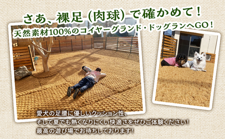 MARUMARUDOGS ドックラン 3時間利用券 1時間×3枚セット 人1人＋犬1頭 チケット 犬 ペット 体験 施設 施設利用券 ラン コイヤーグラウンド 天然素材 静岡県 河津町