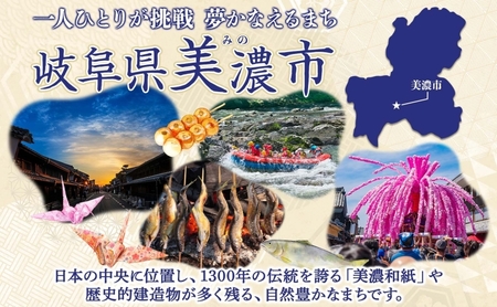 飛騨牛 切り落とし 280g×1P 国産 国産牛 牛肉 肉 牛 日本産 和牛 BBQ 焼き肉 赤身 小分け 便利 冷凍保存 一人暮らし 牛丼 肉じゃが 煮物 焼く 簡単調理 薄切り 飛騨牛切り落とし カレー ビーフシチュー 贈答品 お取り寄せ 送料無料 岐阜県 美濃市