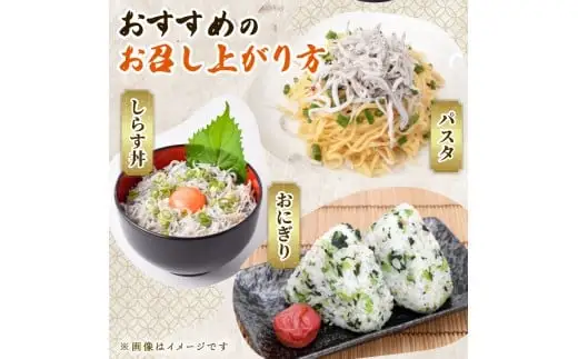 訳ありしらす600g 釜揚げ【しらす】