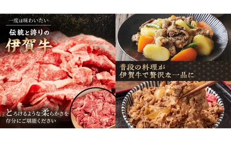 伊賀牛 6ヶ月連続お届け 定期便 A [ 伊賀忍者ビーフ 切り落とし コマ肉 ×2  コロッケ ミンチボール ×2 ヒレ ステーキ 焼肉 3種 ] 丸福精肉店 牛肉 高級 和牛 肉 伊賀牛肉 伊賀 人気 自宅用 グルメ お取り寄せ 誕生日 お祝い ご馳走 パーティー