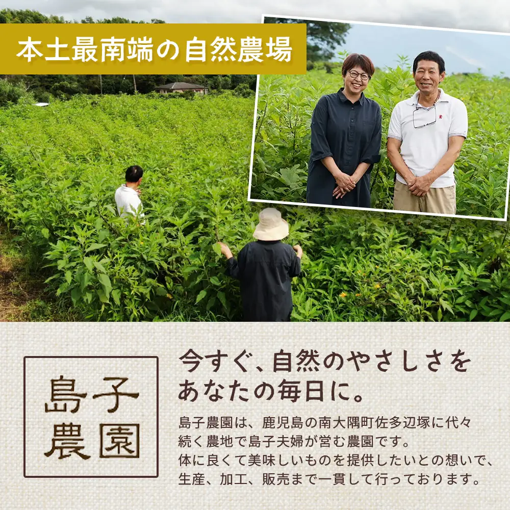 菊芋ティータイムペアセット SK-12｜菊芋 きくいも ノンフライ ノンオイルせんべい お菓子  焙煎 おつまみ グルメ お取り寄せ 鹿児島県 南大隅町 島子農園