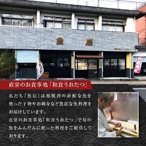 季節の干物の詰め合わせ| 湯河原町 干物 乾物 海 旬の味覚