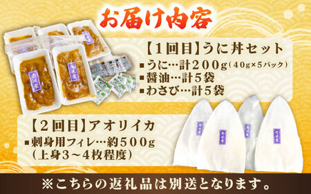 【2回定期便】 壱岐産 うに丼セット アオリイカ 月替わり 定期便 《壱岐市》 【一支國屋】海鮮 うに うに丼 いか イカ アオリイカ 刺身 お刺身 冷凍配送[JCC026]