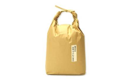 【令和7年産】福岡県産 【特A】評価のお米「元気つくし」5kg×2袋（10kg）白米 精米 お米 米