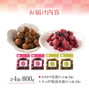 【先行予約】【2026年7月以降順次発送予定】ちくほくのうめ想い ひとくちの彩｜ うめ 甘漬け 小梅 塩昆布漬け  梅干し 